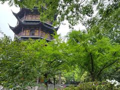 -红梅公园