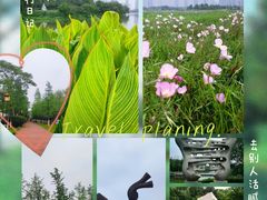 -洋湖国家湿地公园