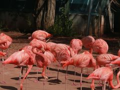 -鄂尔多斯野生动物园