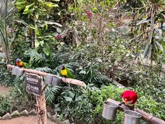 -南宫五洲植物乐园