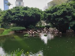 -九龙公园
