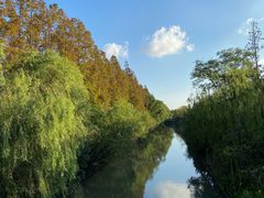 -上海长兴岛郊野公园