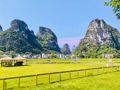 -明仕田园