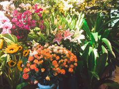 -春暖花开(西溪店)