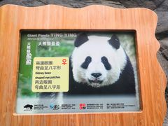 -香港海洋公园