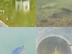-滴水岩森林公园