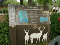 -北京麋鹿生态实验中心