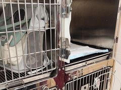 -瑞派康怡24h宠物医院·犬猫医疗中心·微创绝育(瑞景分院)