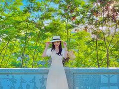 -白石龙音乐公园