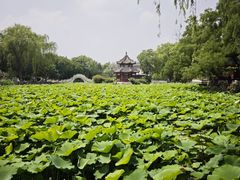 -莲池书院博物馆