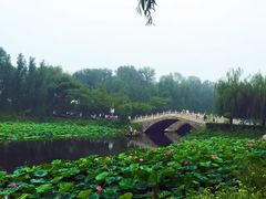 -白洋淀景区