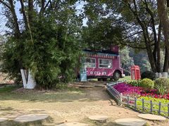 -铁山坪森林公园