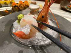 加拿大牡丹虾-月下料理(楷林IFC店)