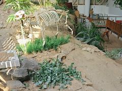 -中国第四纪冰川遗迹陈列馆