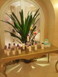 圣安娜●美尚庄园(江南水都旗舰店) T31-圣安娜美业