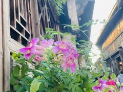 -乌镇东栅景区
