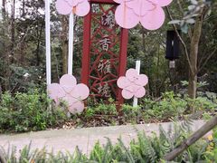 -广州市流溪河国家森林公园