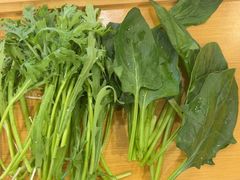 -蝎王府羊蝎子(北大地店)