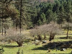 -硗碛藏寨·神木垒景区