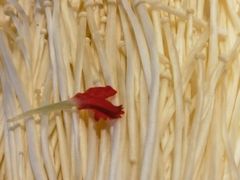 -宝泉铜锅·涮羊肉(解放东路店)