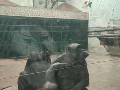 -石家庄市动物园