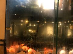 与白虎共餐-白虎自助餐厅·真老虎·景观自助餐厅(广州长隆酒店)