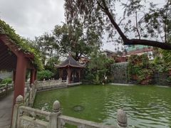 -碧江金楼
