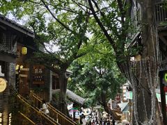 -重庆十八梯传统风貌区