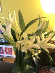 -FineYoga梵音瑜伽·普拉提