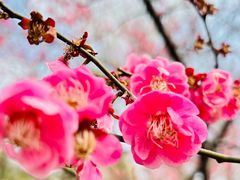 -广富林郊野公园