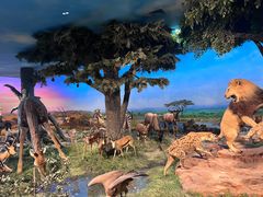 -国家自然博物馆