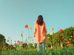 -艾溪湖湿地公园