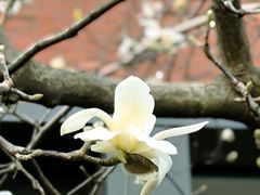 -浙江大学(玉泉校区)