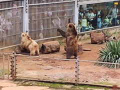 -昆明动物园