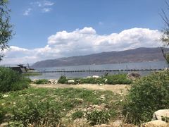 -才村湿地公园