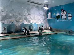 -北戴河圣蓝海洋公园