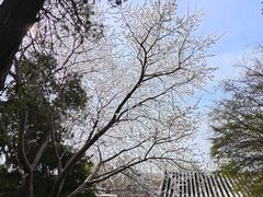 -麦当劳(新王府井店)