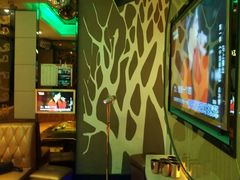 -艾尚主题式KTV(艾溪湖绿地店)