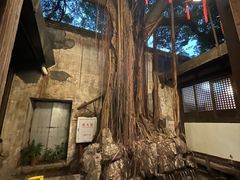 -文儒九号·闽菜馆(三坊七巷店)