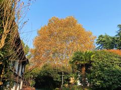 -扬州瘦西湖汇金酒店