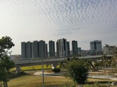 -光明小镇欢乐田园