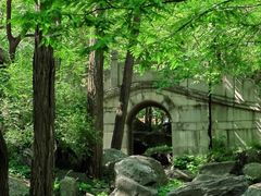 -国家植物园南园