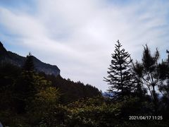 -重庆睡佛山森林公园