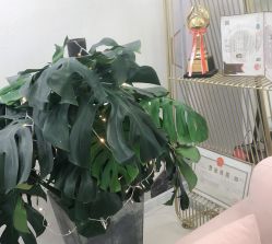 点击看大图 -MOE BEAUTY.皮肤管理中心