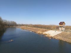 -东郊湿地公园
