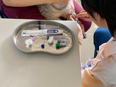 -瑞派福兴宠物医院犬猫全科·骨科·中西医结合(河东店)