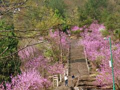 -天台山赤城山景区
