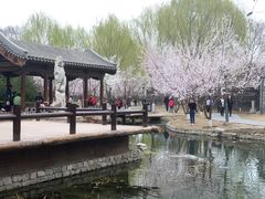 -春风习习