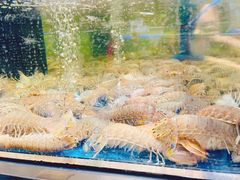 -盒马X会员店(上海森兰商都店)