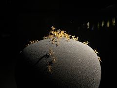 -深圳珠宝博物馆